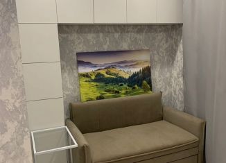 Продам квартиру студию, 12.8 м2, Воронеж, улица 45-й Стрелковой Дивизии, 265