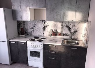 Сдается в аренду однокомнатная квартира, 37 м2, Ростов-на-Дону, переулок Андреева, 4/9