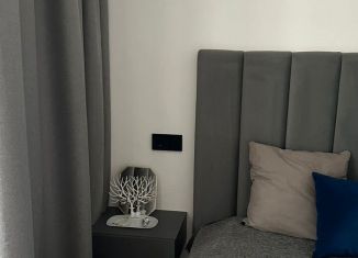 Сдам в аренду 1-ком. квартиру, 45 м2, Краснодар, улица Героя Владислава Посадского, 16/1, Прикубанский округ