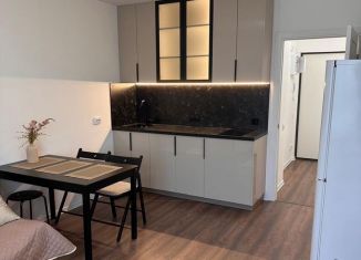 Продаю квартиру студию, 22.4 м2, Санкт-Петербург, ЖК Морская миля, улица Маршала Казакова, 21к3