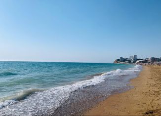 Квартира на продажу студия, 11.6 м2, поселок городского типа Николаевка, Чудесная улица, 2