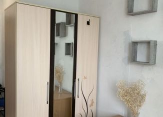 Продажа квартиры студии, 13.3 м2, Пермь, улица Пушкина, 110