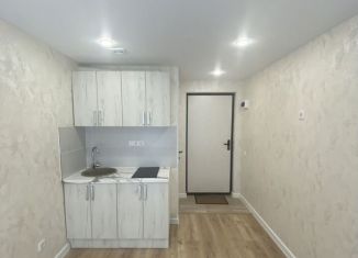 Продам квартиру студию, 13 м2, Нижний Новгород, метро Горьковская, улица Пушкина, 54
