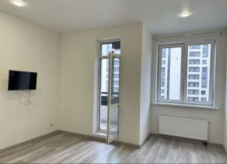 Продаю квартиру студию, 25.4 м2, Кудрово, проспект Строителей, 5к1, ЖК Айди Кудрово 3