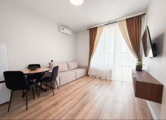 Сдача в аренду 1-ком. квартиры, 37 м2, Краснодар, Воронежская улица, 47/10, микрорайон Черемушки