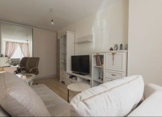 1-комнатная квартира на продажу, 28.8 м2, Мурино, улица Шоссе в Лаврики, 59к1