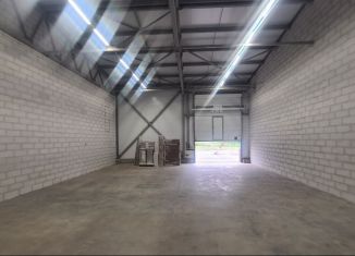 Сдаю в аренду складское помещение, 216 м2, деревня Разбегаево, зона 3-й микрорайон, 5с1