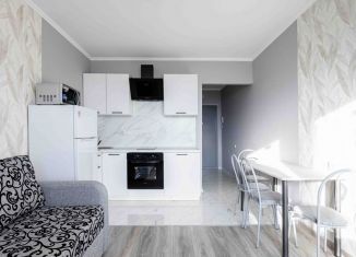 Сдача в аренду квартиры студии, 19.9 м2, Мурино, Графская улица, 6к4