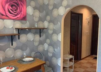 Аренда 1-ком. квартиры, 33 м2, Псков, Коммунальная улица, 50
