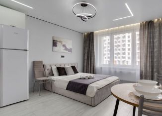 Продается квартира студия, 27 м2, Люберцы, Солнечная улица, 2, ЖК Облака 2.0