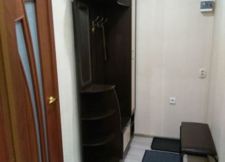 Аренда однокомнатной квартиры, 30 м2, Ленинградская область, улица Шилейко, 8