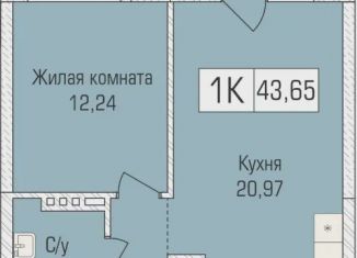 Продается 1-комнатная квартира, 43.7 м2, Новосибирск, улица Объединения, 102/4с, метро Заельцовская