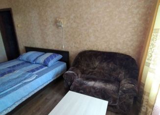 Аренда однокомнатной квартиры, 35 м2, Курганская область, улица Ефремова, 26А