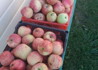 Продажа дома, 64 м2, село Старопетрово, Центральная улица