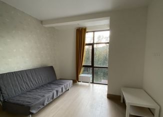 Сдается 1-ком. квартира, 31.5 м2, Сочи, садоводческое некоммерческое товарищество Агро, 193/1, микрорайон Яна Фабрициуса