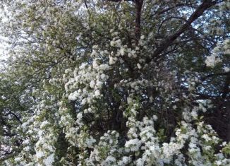 Продам дом, 50 м2, Республика Алтай