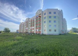 Продается 4-комнатная квартира, 104.2 м2, посёлок городского типа Петра Дубрава, улица Строителей, 5