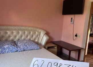 Сдается дом, 240 м2, село Новосельское, СНТ Мечта-1, 64