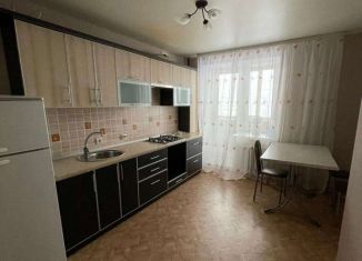 1-комнатная квартира на продажу, 42 м2, Елабуга, улица Хирурга Нечаева, 16