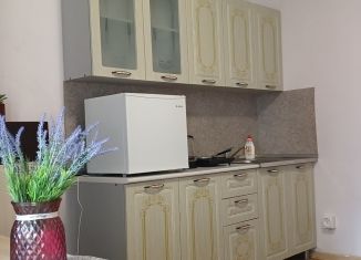 Сдается в аренду квартира студия, 24 м2, Санкт-Петербург, бульвар Александра Грина, 3, Василеостровский район