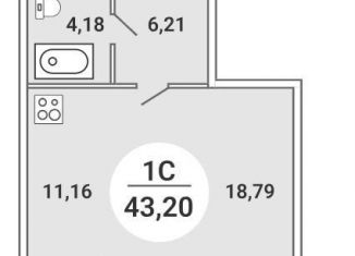Продажа 1-комнатной квартиры, 43.2 м2, Новосибирская область, Оловозаводская улица, 6/1