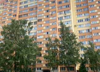 3-комнатная квартира на продажу, 63 м2, Санкт-Петербург, улица Доблести, 26к2, метро Проспект Ветеранов