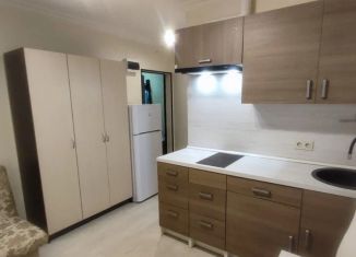 Продам квартиру студию, 18.3 м2, Москва, Покровская улица, 17Ак3, метро Некрасовка