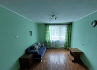 Сдаю 1-комнатную квартиру, 30 м2, Екатеринбург, Парниковая улица, 13, Орджоникидзевский район