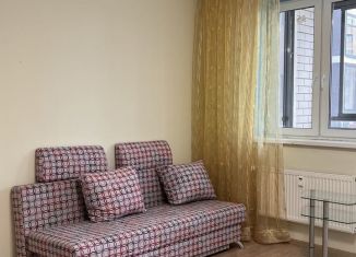 Квартира в аренду студия, 30 м2, Тюмень, улица Парада Победы, 13