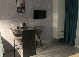 Сдача в аренду квартиры студии, 30 м2, Хабаровск, Краснореченская улица, 223