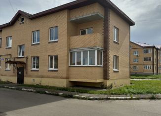 Сдаю 1-комнатную квартиру, 45 м2, деревня Демихово, Новая улица, 20