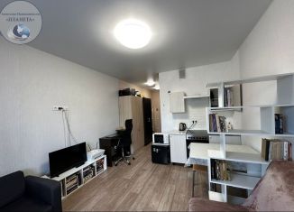 Квартира на продажу студия, 26 м2, Ногинск, улица Дмитрия Михайлова, 12