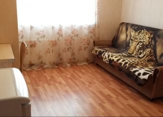 Сдается квартира студия, 25 м2, посёлок Парголово, улица Фёдора Абрамова, 8, ЖК Северная Долина