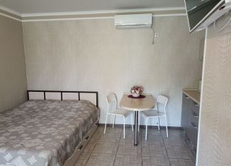 Сдаю квартиру студию, 20 м2, посёлок Сенной, Полевая улица, 26