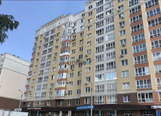 Однокомнатная квартира на продажу, 48.9 м2, Республика Башкортостан, Владивостокская улица, 10