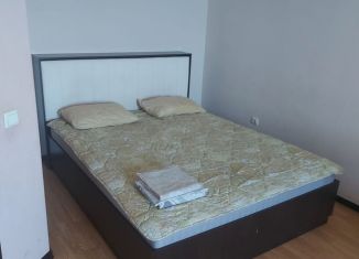 Сдается в аренду 1-ком. квартира, 40 м2, Адыгея, улица Чкалова, 65