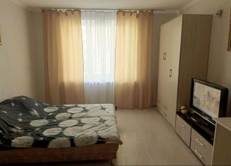 Сдается однокомнатная квартира, 36.4 м2, поселок городского типа Стройкерамика, улица Анетты Басс, 5