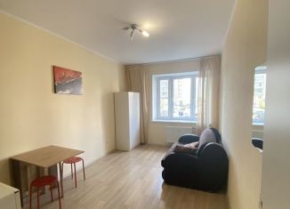 Квартира в аренду студия, 25 м2, Люберцы, улица Барыкина, 1/2