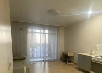 Аренда квартиры студии, 28 м2, Новосибирск, Красный проспект, 309