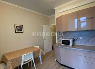 Продажа 1-комнатной квартиры, 33.4 м2, Санкт-Петербург, Кушелевская дорога, 1к2, ЖК Кирилл и Дарья