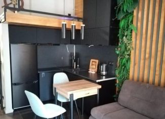 Продажа квартиры студии, 20 м2, посёлок турбазы Приморская, квартал Афалина, 1