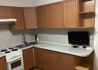 Сдам в аренду 1-ком. квартиру, 47.3 м2, Краснодар, Восточно-Кругликовская улица, 69, микрорайон ККБ