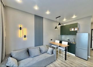 Сдаю квартиру студию, 24 м2, Ростов-на-Дону, улица Нансена, Октябрьский район