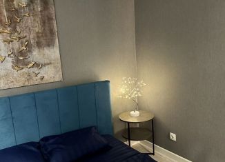 Сдача в аренду квартиры студии, 38 м2, Оренбургская область, Пролетарская улица, 294