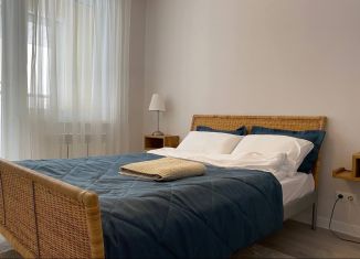 Сдам в аренду двухкомнатную квартиру, 60 м2, Владимирская область, улица Долголетия, 1к2