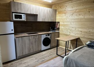 Сдам в аренду дом, 40 м2, Яровое, улица Химиков, 26