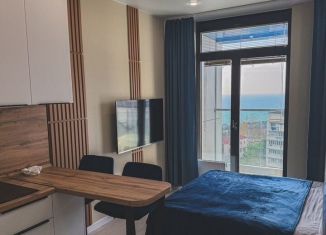 Аренда квартиры студии, 24 м2, Сочи, Ясногорская улица, 16/2к3, микрорайон Бытха