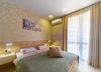 Сдается в аренду квартира студия, 28 м2, Сочи, переулок Горького, 24, микрорайон Центральный