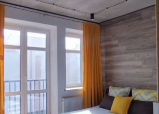 Сдается в аренду квартира студия, 28 м2, Ярославль, улица Городской Вал, 15к1