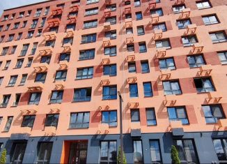 Аренда 1-комнатной квартиры, 41.7 м2, Пенза, улица Измайлова, 38к1